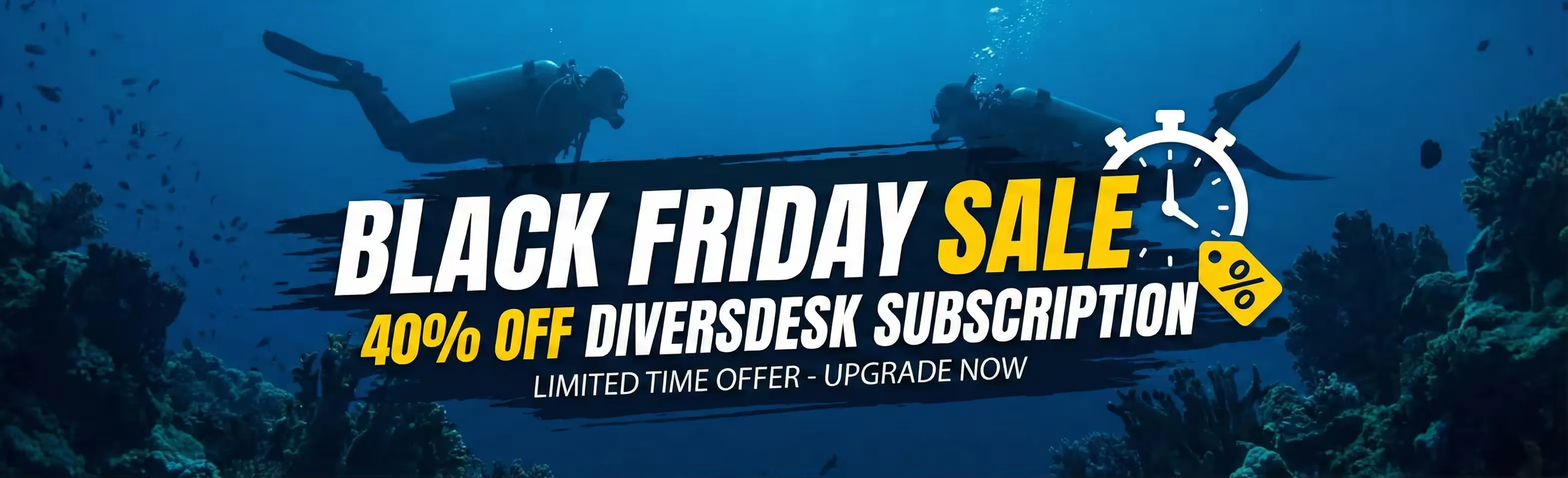 Diversdesk Black Friday Promotion