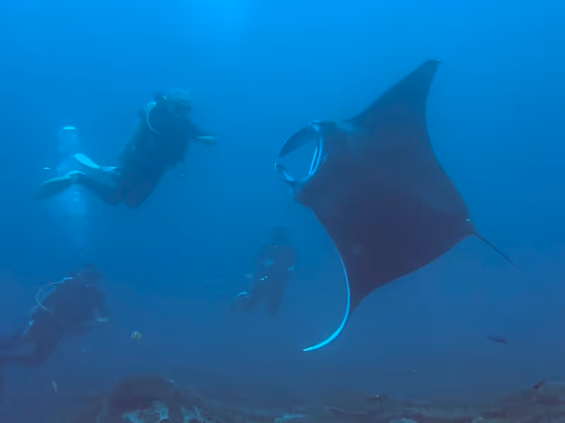 Diversdesk data insights and trends